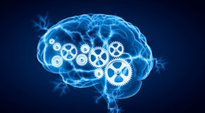 Concept of human intelligence with human brain on white digital background